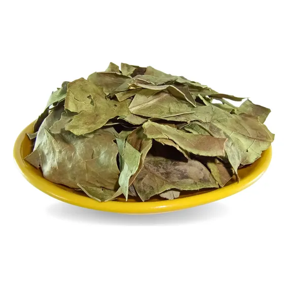 Chá Verde Brasileiro | Folhas Secas Cha Verde Foto 1