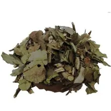 Chá Verde Nacional Banchá Folhas Wenutri 500g Foto  mini 1