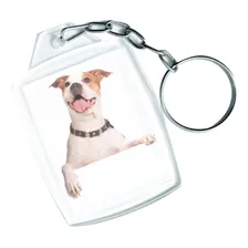 Chaveiro 3x4 Identificador Lembrancinhas 150 Und Foto mini 1