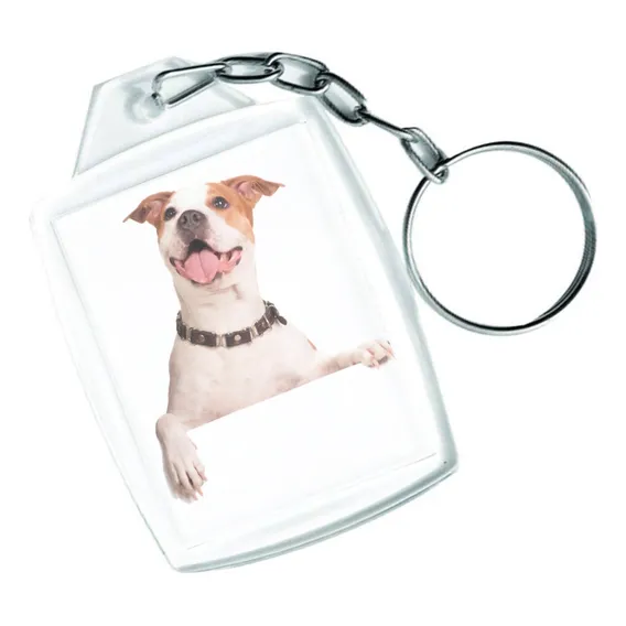 Chaveiro 3x4 Identificador Lembrancinhas 150 Und Foto 1