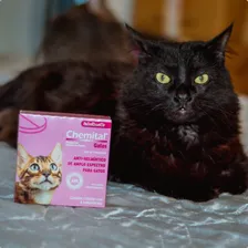 Chemital Vermífugo Gatos 4 Comprimidos - Chemitec Foto mini 3