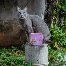 Chemital Vermífugo Gatos 4 Comprimidos - Chemitec Foto mini 4