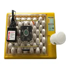 Chocadeira Premium Ecol贸gica Hobby 48 220V Foto mini 1
