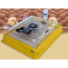 Chocadeira Premium Ecológica Ip 130 - 220 Volts Foto mini  2