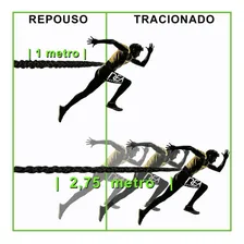 Cinto De Tração Ajustável 4 Elásticos Encapados Reafitnes Foto mini 4