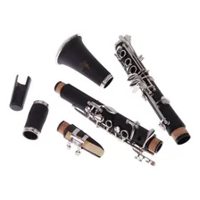 Clarinete Clarineta 17 Chaves Com Estojo Slade Ammoon Ccb Foto mini 4