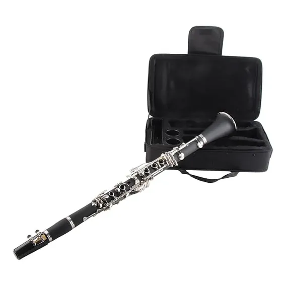 Clarinete Shelter Bb Sib 17 Chaves Abs Profissional Com Case Foto 1