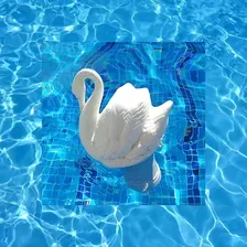 Clorador Flutuante Cisne Para Pastilha Cloro Piscinas Genco Foto mini  3