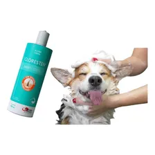 Cloresten Shampoo 500ml Caes E Gatos Agener União Foto mini  3