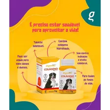 Colágeno Dog Tabs 72g (60 Tabletes) Organnact Foto mini  3