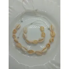 Colar Choker Búzios Naturais Conchas Pulseira Fecho Macramê Cor Branco Foto mini 3