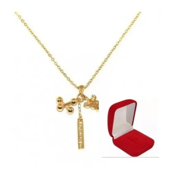 Colar Pingente Fisioterapia Folheado Ouro 18k + Cx Veludo Cor Amarelo Foto 1