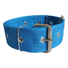 Coleira Nylon Dupla Grande Porte Cachorros Pitbull Fita 5 Cm Cor Azul Tamanho Da Coleira G Foto mini 1