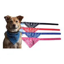 Coleira Para Cachorro, Bandana Pet, Kit Com 2 Cores M Cor Preto/azul Coleira Bandana Foto  mini 1