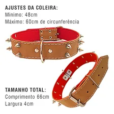 Coleira Para Cachorro Grande Coleira De Couro Com Cravos Cor Branco Foto mini  2