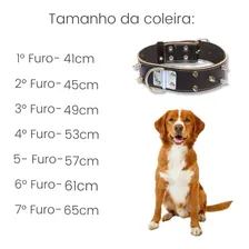 Coleira Para Pit Bull Couro Com Spike Coleira Spike + Guia Cor Preto Foto mini 4