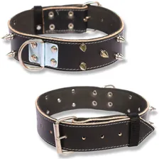 Coleira Para Pit Bull Couro Com Spike Coleira Spike + Guia Cor Preto Foto mini 2