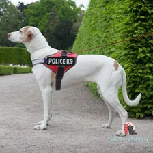 Coleira Peitoral Cães Pequeno E Médio Porte Guia K9 Police Cor Rosa P Police K9 Tamanho Da Coleira P Foto mini 3