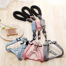 Coleira Peitoral P Cachorro Cães Gato Pet Com Guia Fecho Aço Cor Azul-celeste Coleira Peitoral Com Guia Tamanho Da Coleira P M Porte Pequeno Foto mini  3