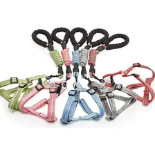 Coleira Peitoral P Cachorro Cães Gato Pet Com Guia Fecho Aço Cor Azul-celeste Coleira Peitoral Com Guia Tamanho Da Coleira P M Porte Pequeno Foto mini  2