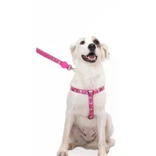 Coleira Peitoral Para Cachorro Pet Snoopy Pink Flower G Foto mini 1