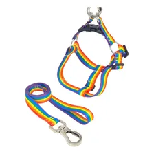 Coleira Peitoral Shih Tzu Poodle Toy Dachshund Com Guia Cor P Tamanho Da Coleira P Foto  mini 1
