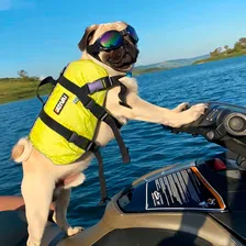 Colete salva-vidas para animais Ativa pet vest amarelo tamanho P Foto mini 2