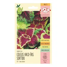Coleus Arco Íris Sortido 0,15g -500 Sementes Aproximadamente Foto mini 2