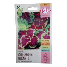 Coleus Arco Íris Sortido 0,15g -500 Sementes Aproximadamente Foto mini 1