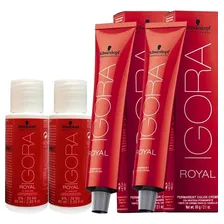 Coloração Schwarzkopf Professional Igora royal Igora Royal Kit Duo Coloração 60g - 6.0 Louro Escuro Natural tom 6.0 louro-escuro natural para cabelo Foto mini 1