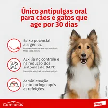 Combo Antipulgas Comfortis Elanco De 27 A 54 Kg 1620 Mg Foto mini 3