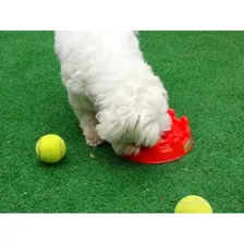 Comedouro Lento Cachorro E Gatos Mini Pet Fit Pet Games Foto mini 4