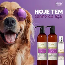 Condicionador Aumazon Açai 5l Perigot Banho Cães E Gatos Fragrância Ostras Foto mini 2