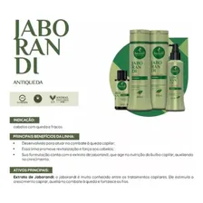 Condicionador Haskell Jaborandi 300ml Foto mini 2