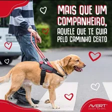 Condroplex 1000mg 60cáps Suplemento Cães E Gatos Condroitina Foto mini 4