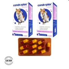 Condroplex 1000mg 60cáps Suplemento Cães E Gatos Condroitina Foto mini 3