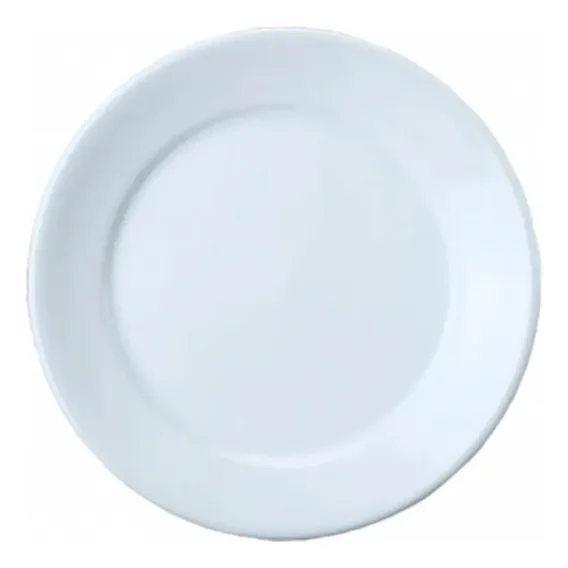 Conjunto 10 Pratos Rasos Porcelana 24,5cm Bar Hotel Germer Foto 1