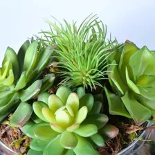 Conjunto Suculentas Sortidas Verde Artificial 10cm Florarte Foto mini  2