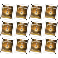 Conmebol Libertadores 2024 Com 60 Envelopes (300 Figurinhas) Foto mini 4