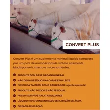 Convert Plus-agros-suplemento Mineral Aminoacidos P/ Bovinos Foto mini 3