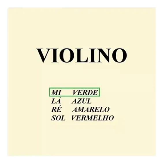 Corda Mi Violino 4/4 Mauro Calixto - R0411 Foto 1