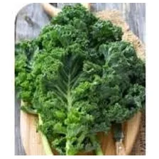 Couve Kale Arizona + Couve Kale California Foto mini 1