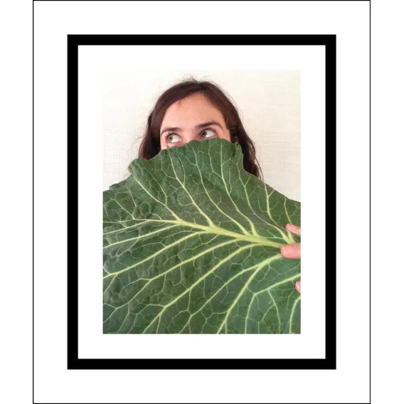 Couve Manteiga Gigante - 250 Sementes Para Mudas Foto 1