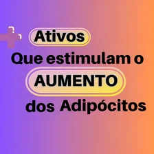 Creme Aumentar Seios A+ Commipheroline Adipofill Raffermine Foto mini 2