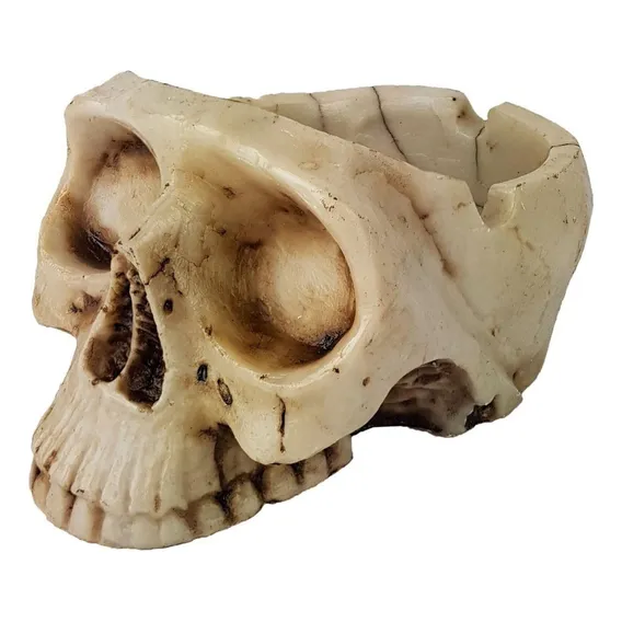 Crânio Caveira Cinzeiro Decorativo Em Resina Skull Ossos Foto 1
