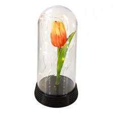 Cúpula Luminária Redoma Tulipa Encantada Com Luzes De Fada Foto mini 1