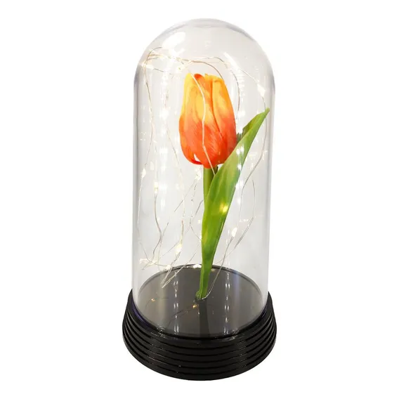 Cúpula Luminária Redoma Tulipa Encantada Com Luzes De Fada Foto 1