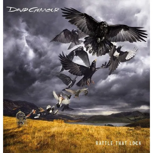 David Gilmour Rattle That Lock Lp Importado Lacrado Foto 1