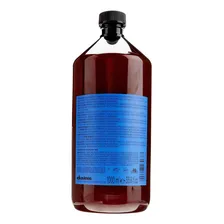 Davines Rebalancing Shampoo 1 Litro Foto mini  2
