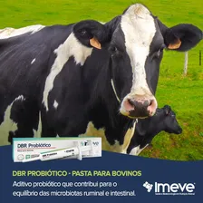 Dbr Probiótico Imeve - Pasta Para Bovinos Bisnaga 34g Foto mini  3